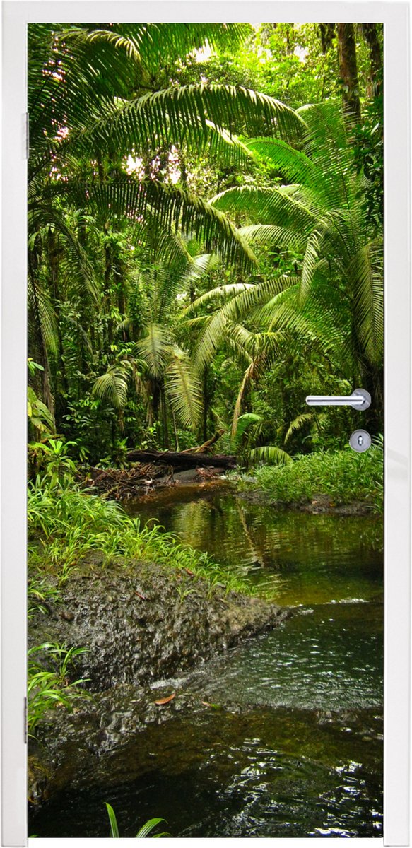 Deurposter 95x215 cm - Deursticker Tropisch regenwoud in Colombia - Meubelfolie zelfkleven