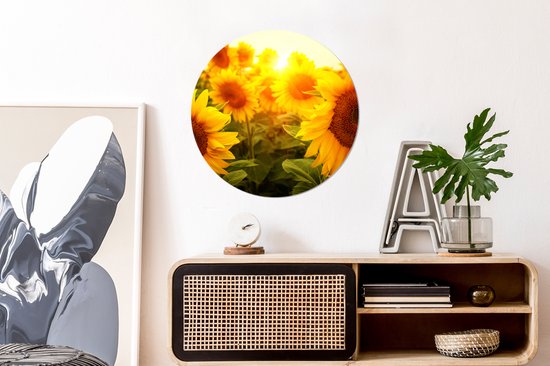 WallCircle - Papier peint cercle - Tournesol - Jaune - Bloem - 80x80 cm - Papier peint autocollant - Papier peint cercle - Papier peint cercle autocollant - Papier peint rond - Salon