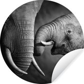 Behangcirkel - Zelfklevend behang - Wilde dieren - Olifanten - Zwart - Wit - ⌀ 120 cm - Behang cirkel - Rond behang - Behangcirkel zelfklevend