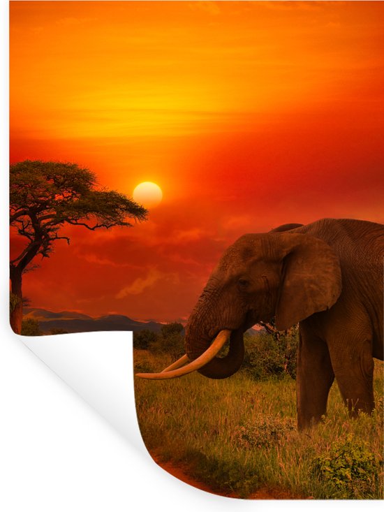 Grote XXL schilderij Olifant op de savanne - dierensilhouet tegen een ondergaande zon- Grote Schilderijen Grote XXL schilderij Olifant op de savanne - dierensilhouet tegen een ondergaande zon- Grote Schilderijen