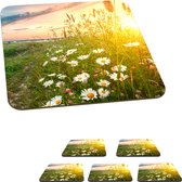 Onderzetters voor glazen - Bloemen - Madelief - Natuur - Zon - Horizon - 10x10 cm - Glasonderzetters - 6 stuks