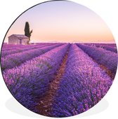 WallCircle - Wandcirkel - Muurcirkel - Lavendel - Zonsondergang - Paars - Bloemen - Aluminium - Dibond - ⌀ 90 cm - Binnen en Buiten