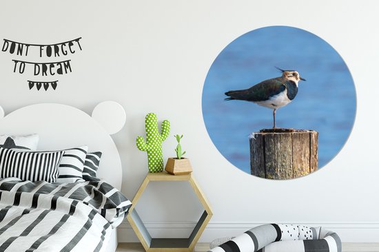 WallCircle - Cercle Mural - Cercle Mural - Vogel - Animaux - Mât - Blauw - Vanneau - Aluminium - Dibond - 140x140 cm - Intérieur et Extérieur