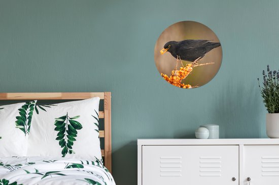 Cercle mural - Cercle mural - Vogel - Merle - Hiver - Glace - Baie - Plastique - Peintures rondes - ⌀ 30 cm - Peinture ronde - Cercle mural intérieur - Cercle mural animaux