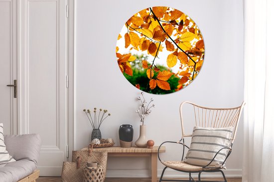 WallCircle - Wall Circle - Wall Circle Indoor - Feuilles d'Automne - Arbre - Rural - 120x120 cm - Décoration murale - Peintures Ronds XXL