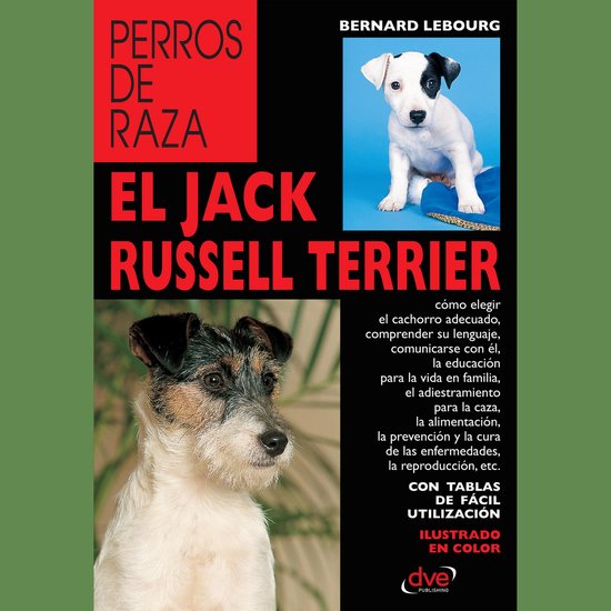 El Jack Russell terrier - cover