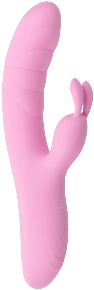 Dubbele Stimulatie Vibrator Evolved Playboy Roze
