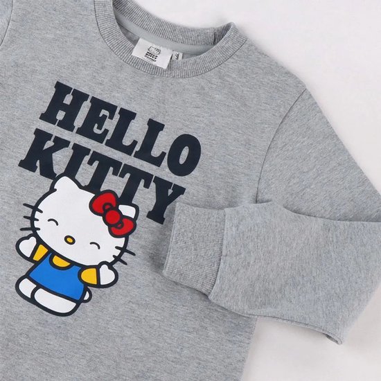 Grijze sweater met opdruk van Hello Kitty en de tekst 'HELLO KITTY' in het zwart.