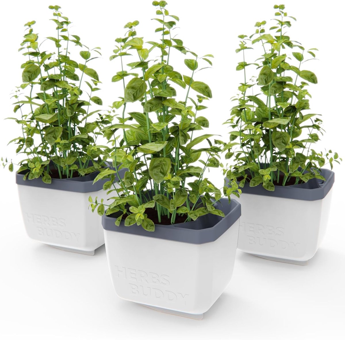 GUSTA GARDEN Herbs Buddy - Zelfbewaterende pot & kruidenpot voor keuken & vensterbank, ideaal voor basilicum, watertank, waterniveau-indicator