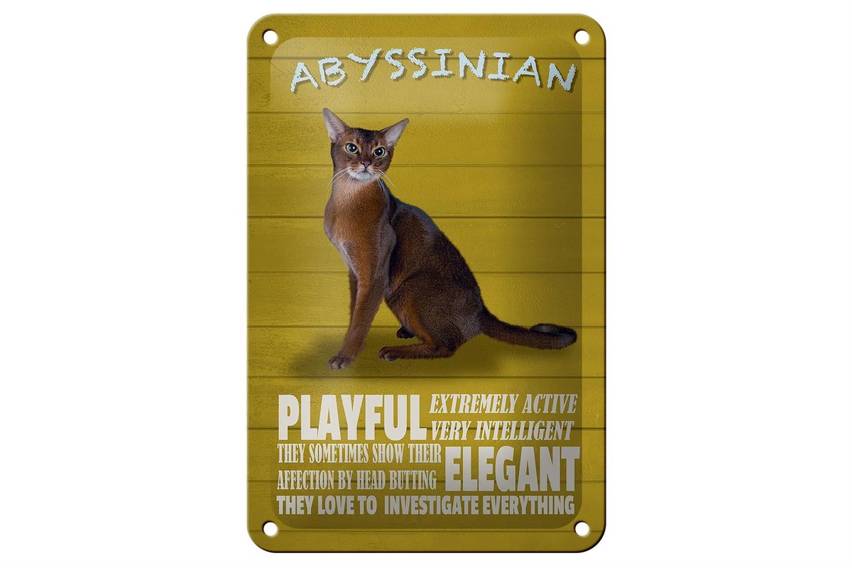 Blechschild Spruch 12x18cm Abyssinian Katze playful elegant
