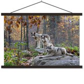Trois loups en automne affiche textielposter lattes noir 150x100 cm - Tirage photo sur plaque scolaire (décoration murale salon / chambre)