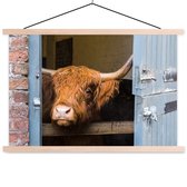 Scottish Highlander colle la tête hors de la grange lattes d'affiche textielposter vierge 150x100 cm