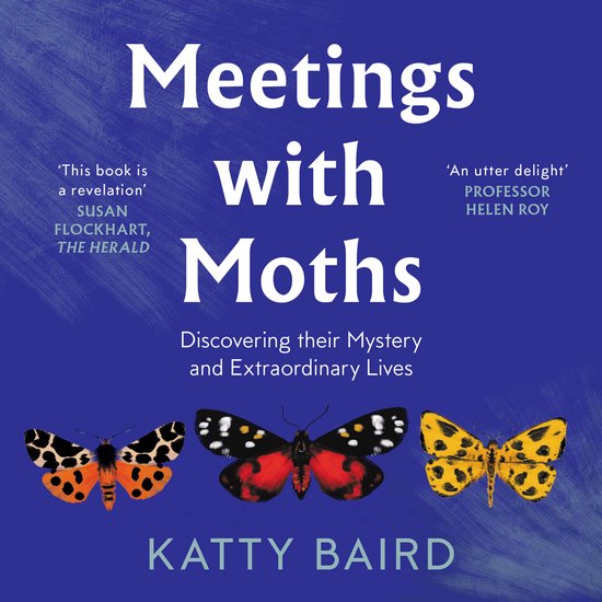 Meetings with Moths - cover
