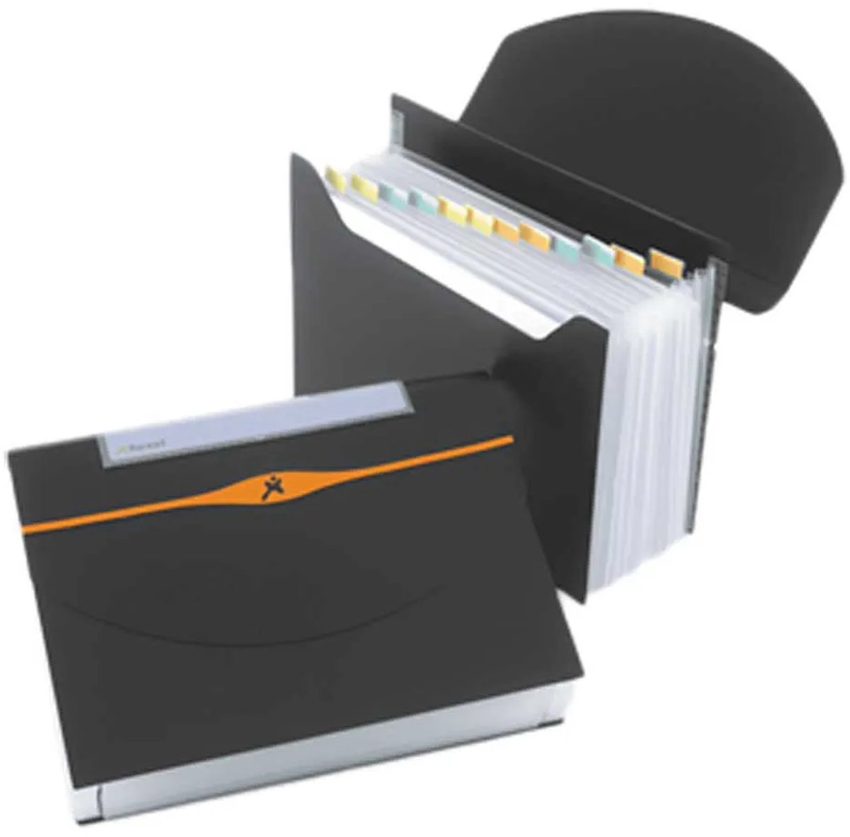 Rexel Optima 13 A4 Accordeonmap Met Scheidingsvellen Transparant Kinderen