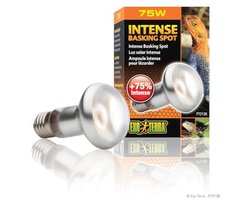 Warmtespotlamp voor Terrariums - Optimale Verwarming voor Reptielen & Amfibieën