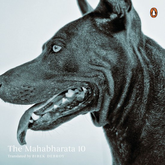 Mahabharata Vol 10 - cover