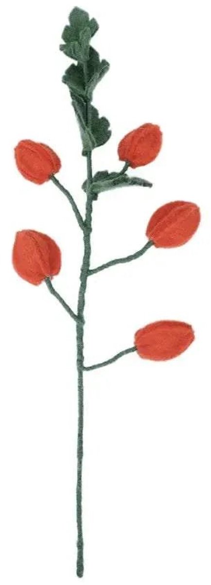Bloemtak Vilt - Physalis Lampion - 55cm - Fairtrade Sjaalmetverhaal