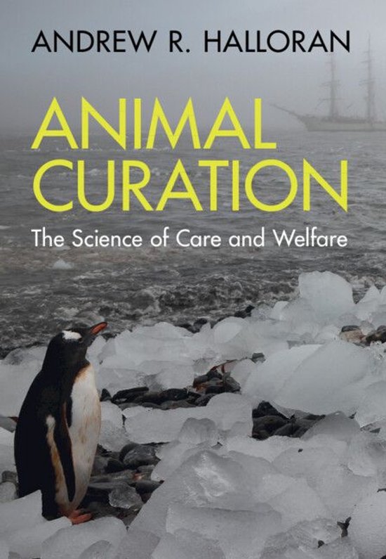 Animal Curation - cover