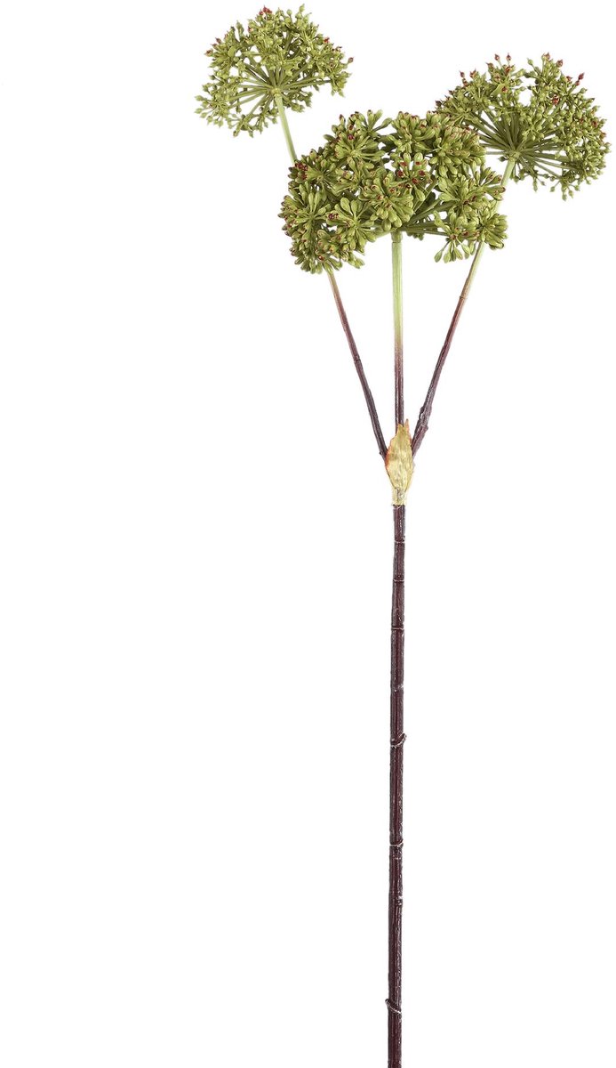 PTMD Kunsttak Garden - Groen - 30x35x78cm