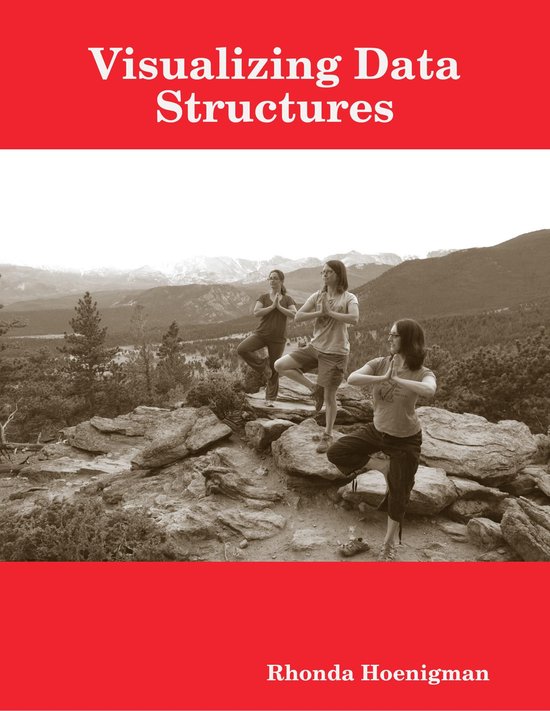Visualizing Data Structures - cover