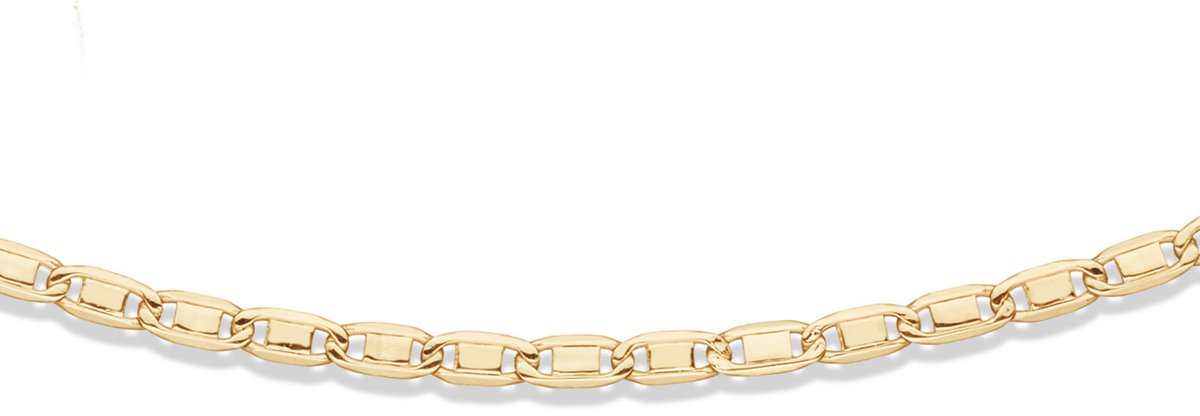 Gouden Valkenoog Collier 585