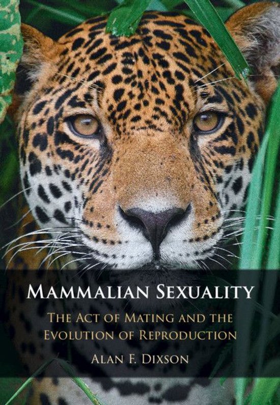 Mammalian Sexuality - cover