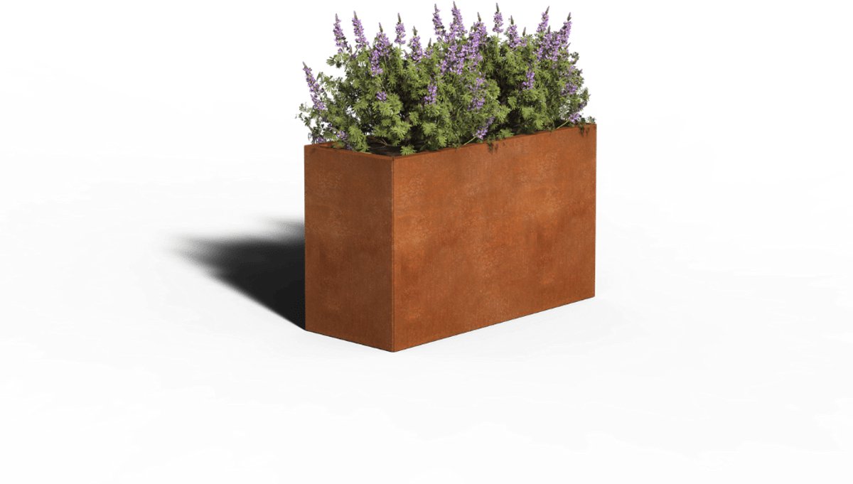 Cortenstaal Plantenbak Rechthoek | 100 x 40 x 60 | Zonder bodem