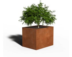 Cortenstaal Plantenbak Rechthoek | 80 x 60 x 40 | Zonder bodem