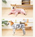 Hond in roze pyjama met maan/sterren en in grijze pyjama met bottenprint.