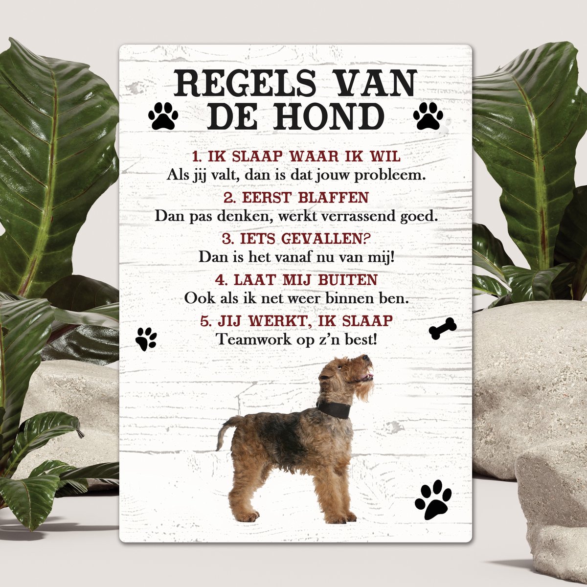 Spreuken - Fox Terrier - Regels Van De Hond - Spreuken Bordjes - Spreukenbord - Tekstborden - Cadeau - Hondenras