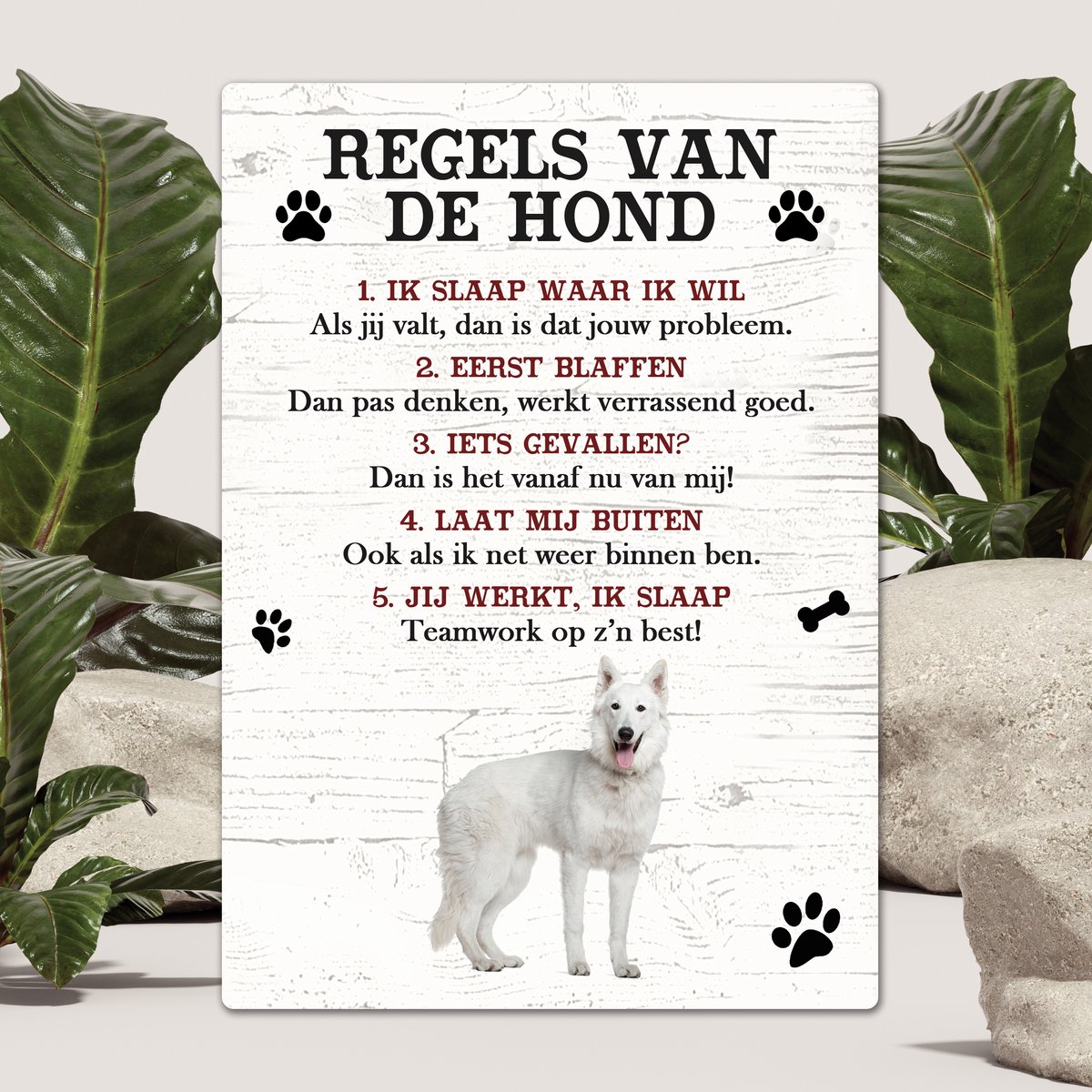 Spreuken - Husky - Regels Van De Hond - Spreuken Bordjes - Spreukenbord - Tekstborden - Cadeau - Hondenras