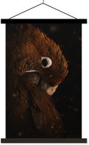 Porte-affiche avec affiche - Affiche scolaire - Perroquet - Vogel - Ressorts - 60x90 cm - Lattes noires