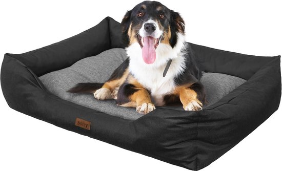 Labrador kussen kopen? Deze 5 zijn echt de moeite waard Labrador kussen kopen? Deze 5 zijn echt de moeite waard