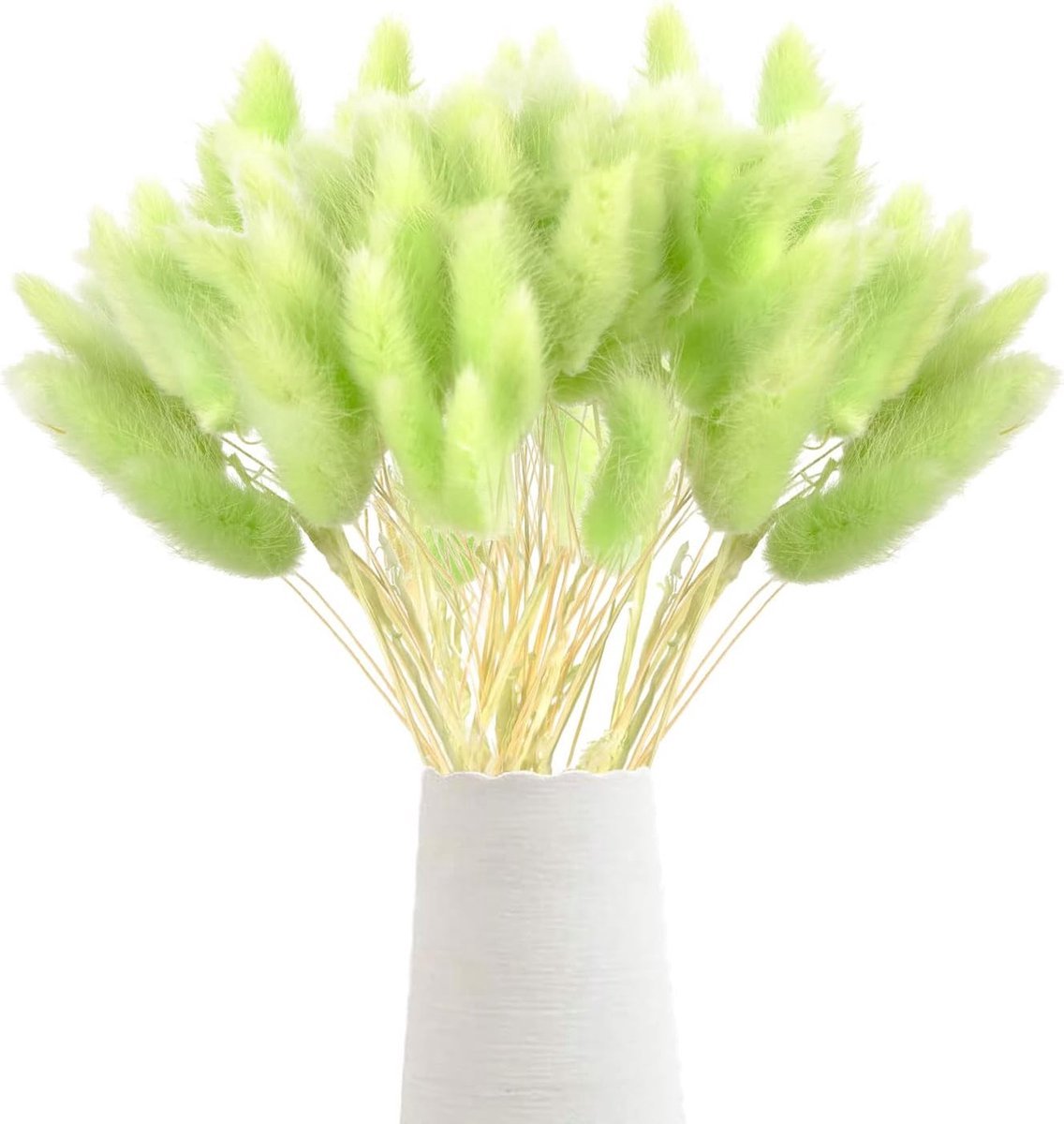 Stunq® Elegante Gedroogde Pampasgras Decoratie voor Elk Interieur