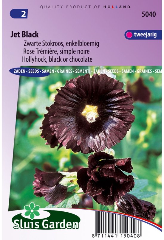 Sluis Garden - Stokroos Jet Black (Alcea rosea)