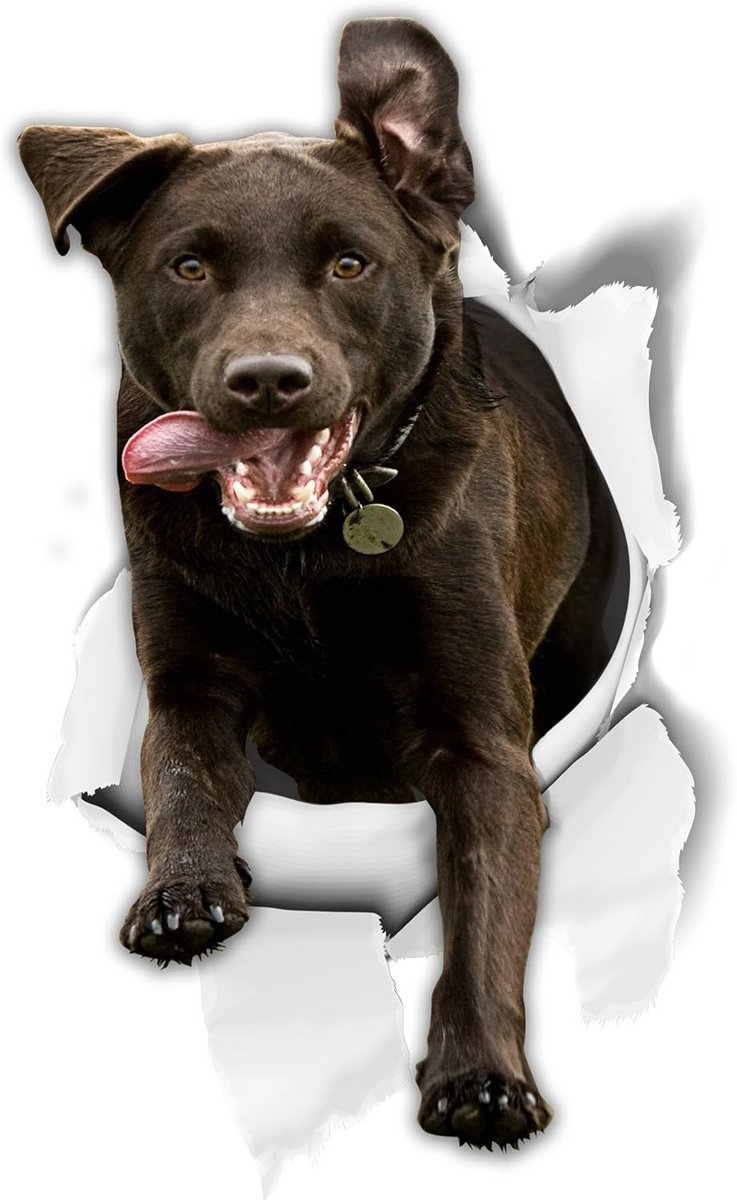 3D Zwarte Labrador Stickers - 2 Stuks - Realistische Muurstickers en Koelkastdecoratie