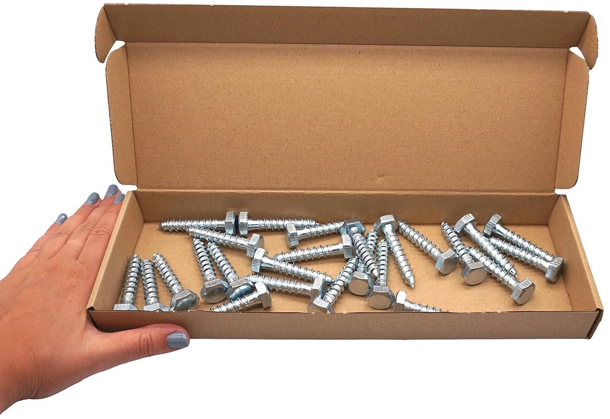 Houtschroeven M10 x 55 mm - Verzinkt Staal - Zeskantkop Bouten (25 stuks)