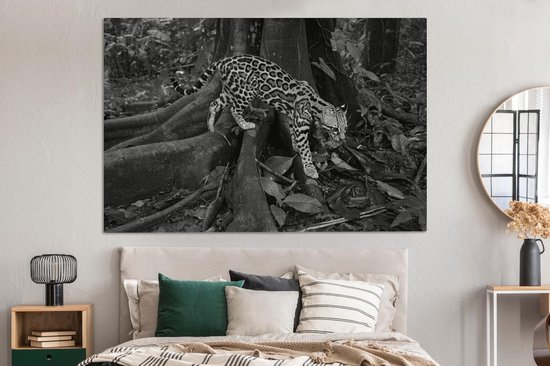 Peintures sur toile - Ocelot dans la jungle du Costa Rica en noir et blanc - 150x100 cm - Décoration murale