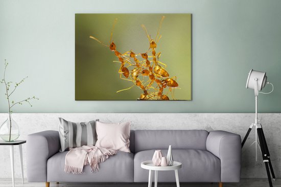 Toile Peinture Fourmis - Oranje - Animaux - 120x90 cm - Décoration murale