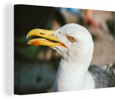 Angry Seagull 30x20 cm - petit - Tirage photo sur toile (Décoration murale salon / chambre)