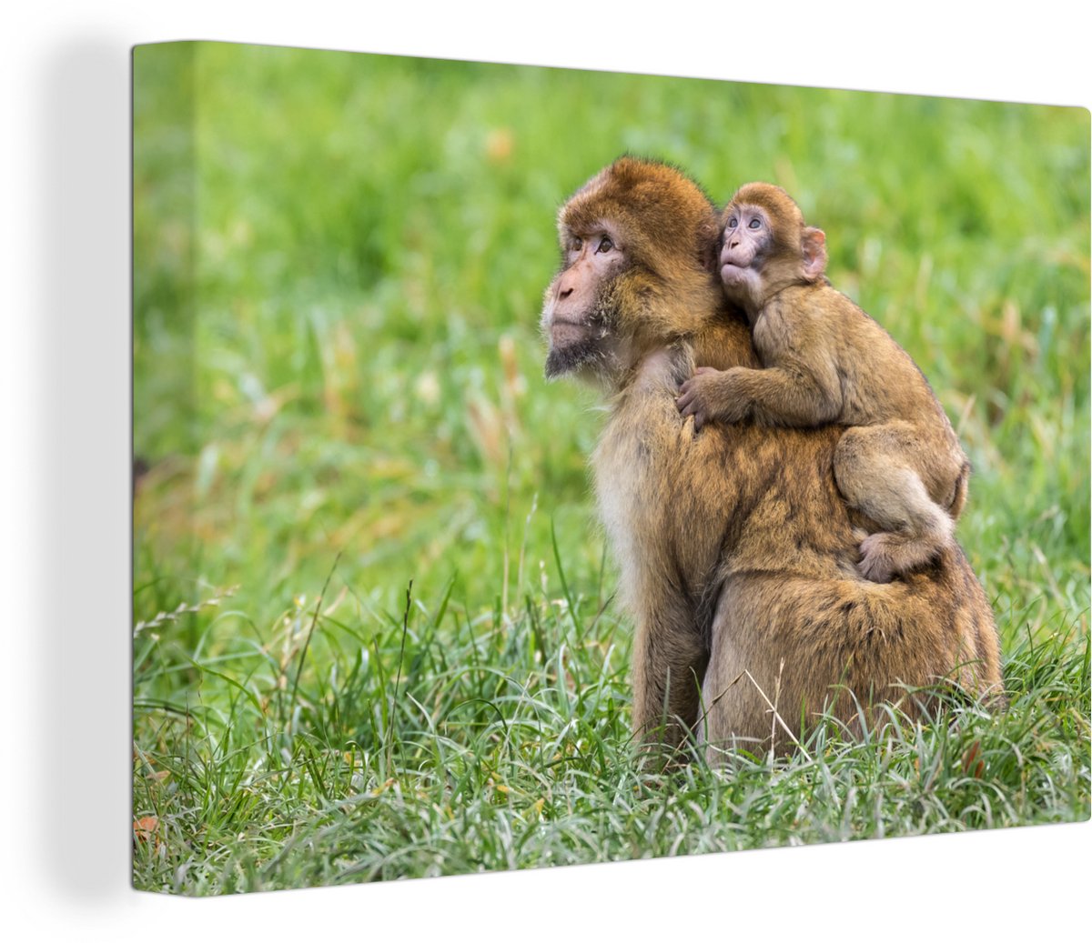 Canvas Schilderij Aap - Baby - Gras - 30x20 cm - Wanddecoratie