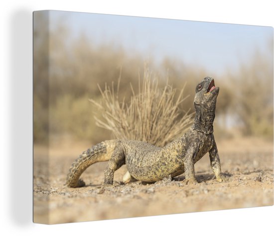 Un lézard fort et puissant 90x60 cm - Tirage photo sur toile (Décoration murale salon / chambre)