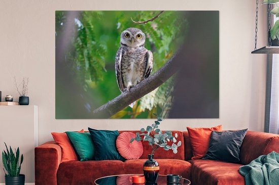 Owl assis sur la branche toile 2cm 150x100 cm - impression photo sur toile peinture (Décoration murale salon / chambre à coucher) / Animaux sauvages Peintures Toile