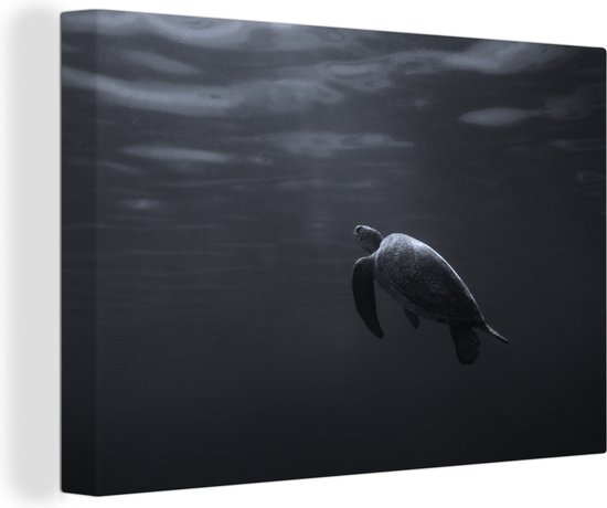 Canvas schilderij 140x90 cm - Wanddecoratie Schildpad onder water in zwart-wit - Muurdecoratie woonkamer - Slaapkamer decoratie - Kamer accessoires - Schilderijen