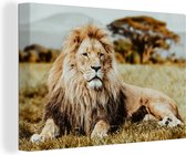 Canvas Schilderij Leeuwen - Wild - Afrika - 90x60 cm - Wanddecoratie