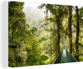 Canvas Schilderij Monteverde - Bos - Brug - Regenwoud - 180x120 cm - Wanddecoratie XXL