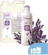 Diamex Shampoo Provence Lavendel-5l
