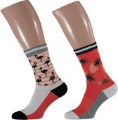Apollo Sportsokken Fashion Rood/wit Maat 42-47
