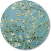 Amandelbloesem - Vincent van Gogh - Muurcirkel Forex 60cm | Wandcirkel voor binnen - Meesterwerken - Natuur - Bloemen - Vincent van Gogh