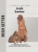 Irish Setter